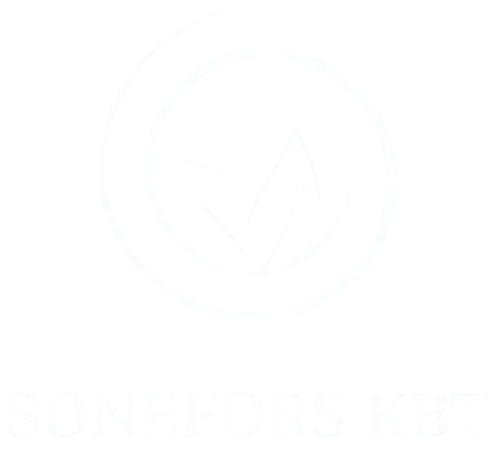 Sonefors KBT